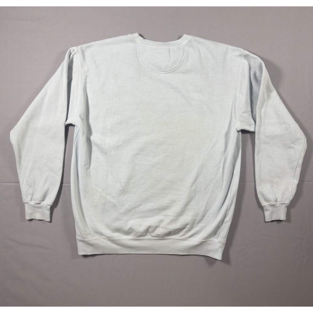 Comfort Colors Born To Read Forced To Grind Sweatshirt Blue Graphic Womens Large - Picture 6 of 10